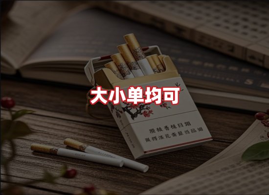 专业团队